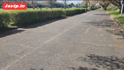 fc2ppv-4671197 - さすがにやりすぎ！？昼間の人がたくさんいる公園の木に隠れて全裸露出！たくさんの人に見せつけもしちゃいました…