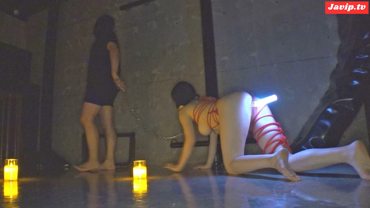 fc2ppv-4683228 - 素人覆面モデル 調教完全孕ませ - FC2PPV動画をオンラインで視聴 - jaVip